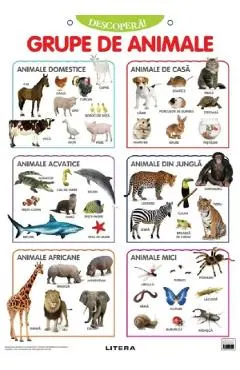 Plansa: Descopera! Grupe de animale