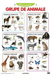 Plansa: Descopera! Grupe de animale