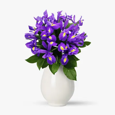 Buchet de 15 irisi mov