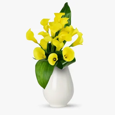 Buchet de 19 cale galbene