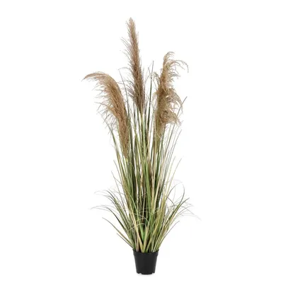 Plantă artificială (înălțime 145 cm) Austorderia – Bizzotto