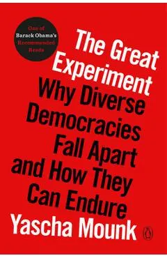 The Great Experiment: Why Diverse Democracies Fall Apart and How They Can Endure