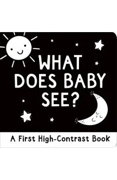 What Does Baby See?: A First High-Contrast Board Book