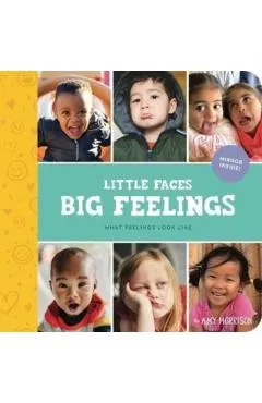 Little Faces Big Feelings: What Emotions Look Like