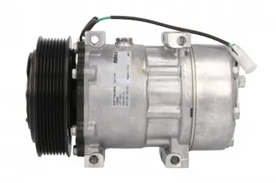Compresor climatizare potrivit RVI MAGNUM 12.1D 12.8D 10.04
