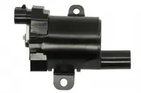Bobina Inductie Potrivit Cadillac Escalade; Chevrolet Avalanche, Avalanche 1500, Argintiuado 1500, Argintiuado 2500, Tahoe; Gmc Sierra, Yukon; Hummer Hummer H2, Hummer H2 Sut; Isuzu Ascender 4.8-6.0 1