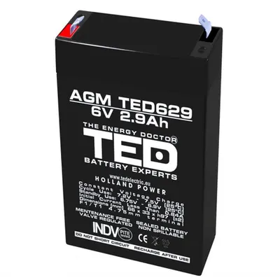 Acumulator 6V 2.9Ah F1, AGM VRLA, TED Electric TED002877