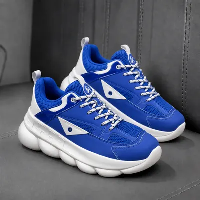 Adidasi barbati casual premium albastri 209