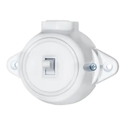 Aparataj clasic aparent PUSH LIGHT SWITCH 10А 250V WHITE