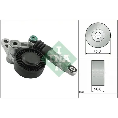 Intinzator curea, curea distributie INA 534 0098 10