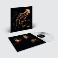 Back To The Water Below (Clear Vinyl)