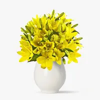 Buchet de 35 crini asiatici galbeni
