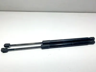Set telescoape capota spate 904510001R Renault Megane 3 (2008-2012)