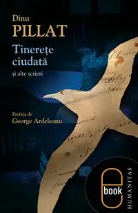 Tinereţe ciudată şi alte scrieri (epub)