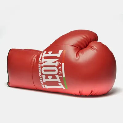 Manusa de Box Ornamentala Leone Rosie