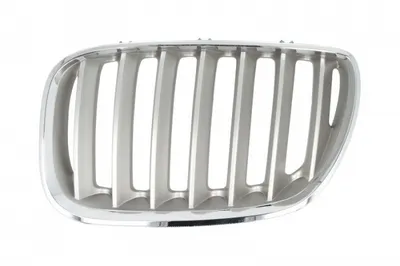 Grila fata stanga titanium BMW X5 E53 intre 2003-2006