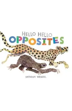 Hello Hello Opposites