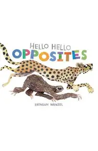 Hello Hello Opposites