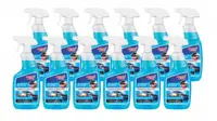 Solutie dezghetat parbriz, geam, sticla , pulverizator, (-50 C), 650ml