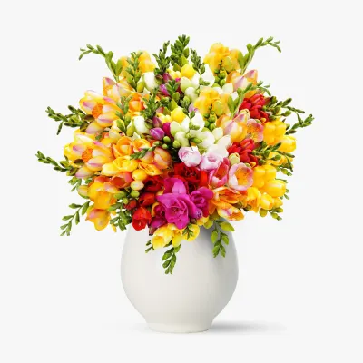 Buchet de 55 frezii multicolore