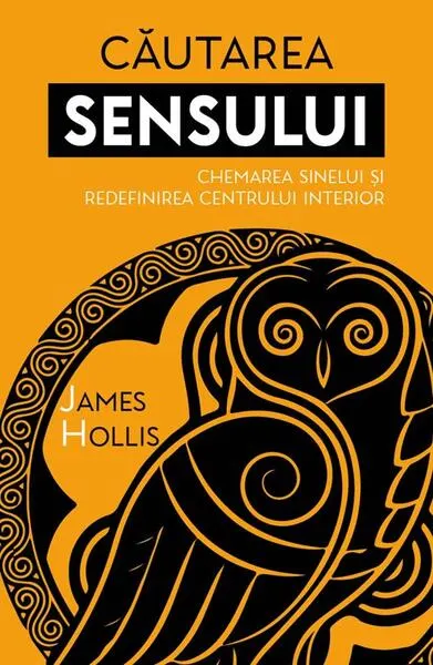 Căutarea sensului - Paperback brosat - James Hollis