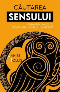 Căutarea sensului - Paperback brosat - James Hollis