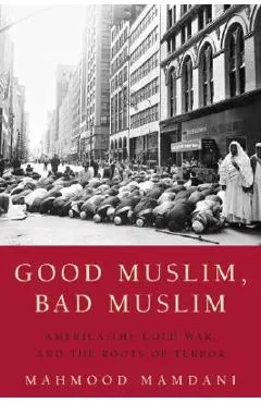 Good Muslim, Bad Muslim: America, the Cold War, and the Roots of Terror