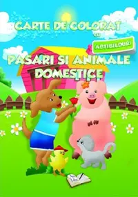 Carte de colorat cu abțibilduri