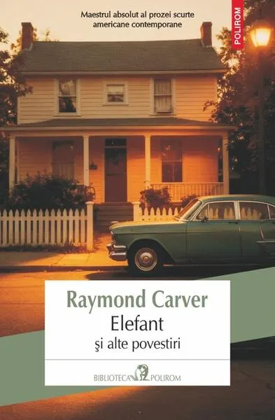 Elefant şi alte povestiri - Paperback brosat - Raymond Carver