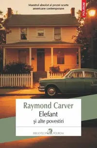 Elefant şi alte povestiri - Paperback brosat - Raymond Carver