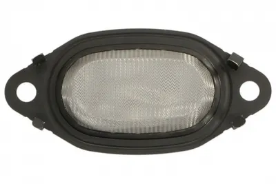 Garnitura Supapa EGR potrivit BMW 5 (G30, F90), 5 (G31), 7 (G11, G12), X5 (G05, F95), X6 (G06, F96), X7 (G07) 3.0D 07.16