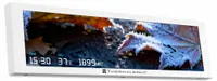 Monitor LCD OptimX Trofeo Vision, 9.16 inch, IPS,1920x480, Panou magnetic, Mod de tema personalizabila，Monitorizare parametri PC, Monitorizare Performante, Temperaturi, Procese pentru placa video, hard, panou de temperatura, Alb