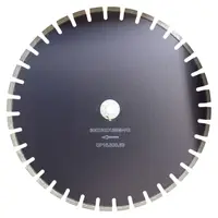 Disc DiamantatExpert pt. Caramida, Poroton, Mat. Constructii 600x60 (mm) Profesional Standard - DXDY.CP15.600.60