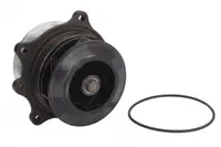 Pompa Apa (cu Rulment) Potrivit Fendt 9000; Ag Chem 2000, Xx3 Xxx3, Xx5 Xxx5; Case Ih Af, Magnum; Caterpillar 300, 900, E, M, R, W, Xq; Massey Ferguson 9000 C13.305-Nef