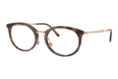 Ray-Ban RX7255 5687