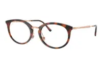 Ray-Ban RX7255 5687