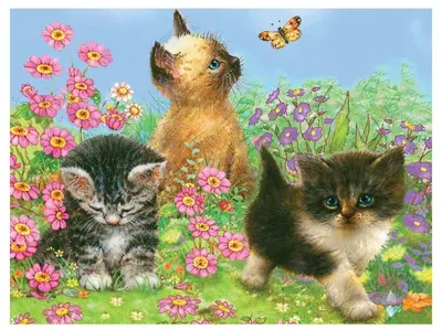 Set de desen cu creioane colorate Royal - Pisici, 22 x 30 cm
