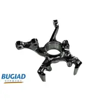 Bugiad Bsp25137