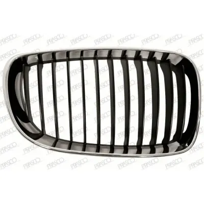 Grila radiator PRASCO BM1212003