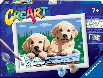 Set de pictat după numere Ravensburger CreArt - Câini într-un coș
