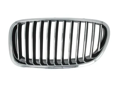 Grila radiator Stanga potrivit BMW 5 (F10), 5 (F11) 2.0-4.4 2009-2017 - (crom/negru)