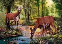 Set de pictură pe numere MagicArt - Cerb lângă pârâu