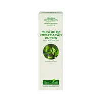 Extract concentrat din muguri de mesteacan pufos, 15ml, PlantExtrakt