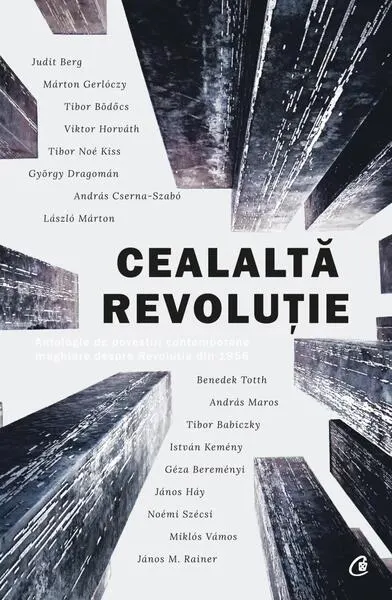 Cealaltă revoluție - Paperback brosat - Maria-Gabriela Constantin