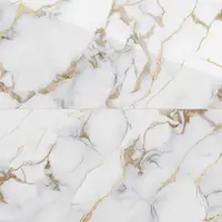 Gresie rectificata exterior / interior Marble Gold Insert 60 x 120 cm lucioasa portelanata tip marmura