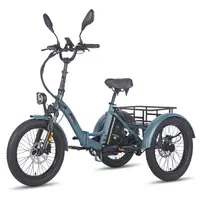 Tricicletă electrică de marfă Fafrees F20 Mate cu baterie de 48V 21Ah