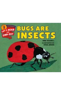 Bugs Are Insects
