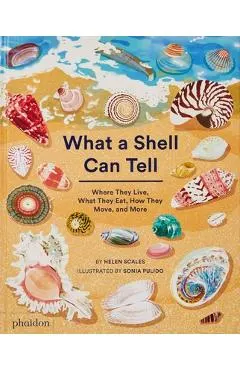 What a Shell Can Tell