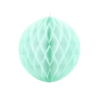 Honeycomb mint 30 cm