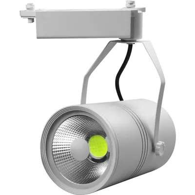 Proiector Sina LED 20W CW Alb